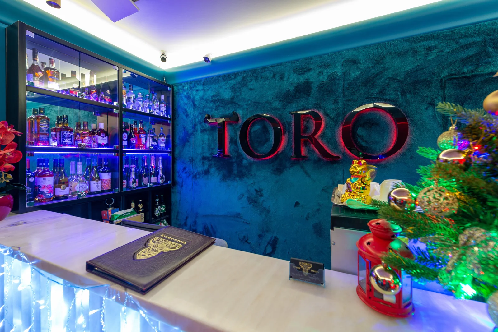 The Toro SPA — фото 16