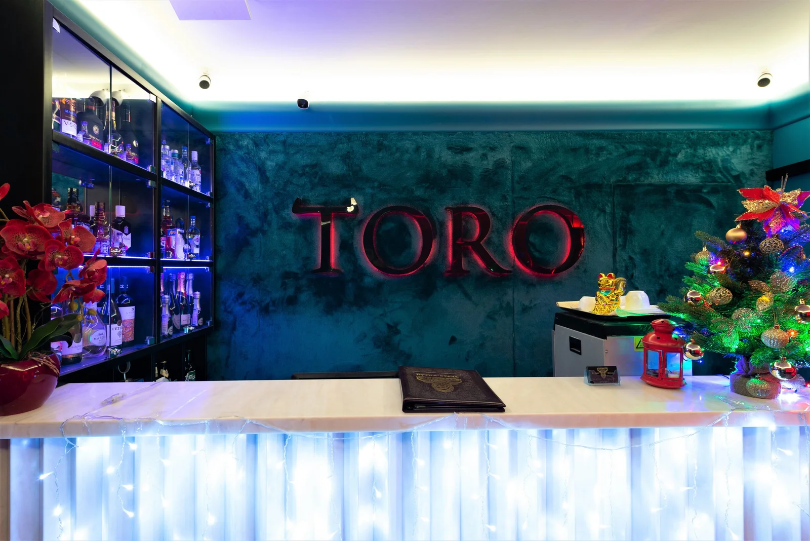The Toro SPA — фото 18